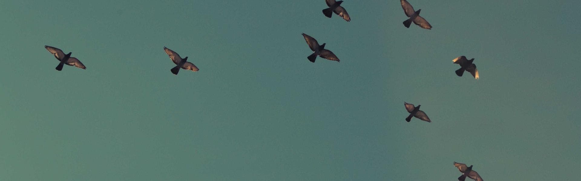 Экономия на путешествиях