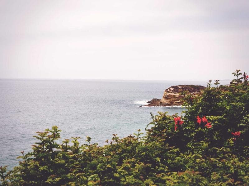 Swissotel The Bosphorus